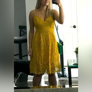 ASTR the label lace a line dress, mustard, medium
